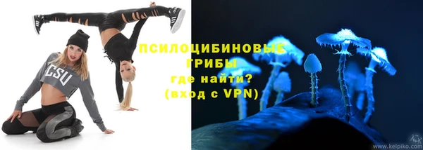 ECSTASY Богородск
