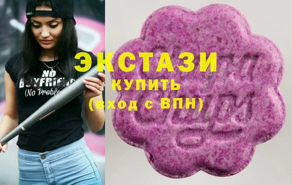 ECSTASY Богородск
