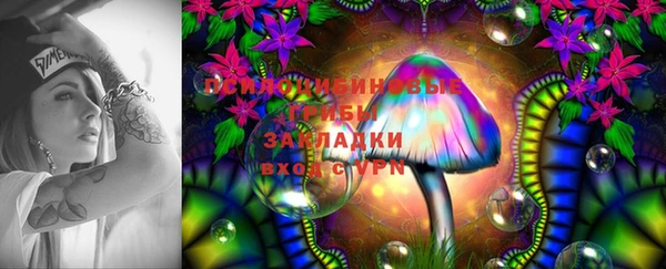 ECSTASY Богородск