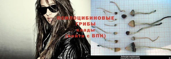 ECSTASY Богородск